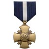 navy cross